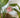 Aloha Clip - Hibiscus