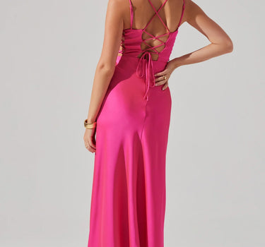 Antlia Maxi Dress- Pink